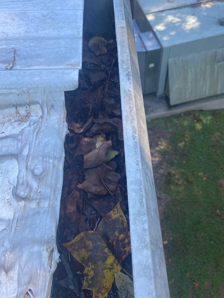 Leaf-packed gutter before AllGood cleaning