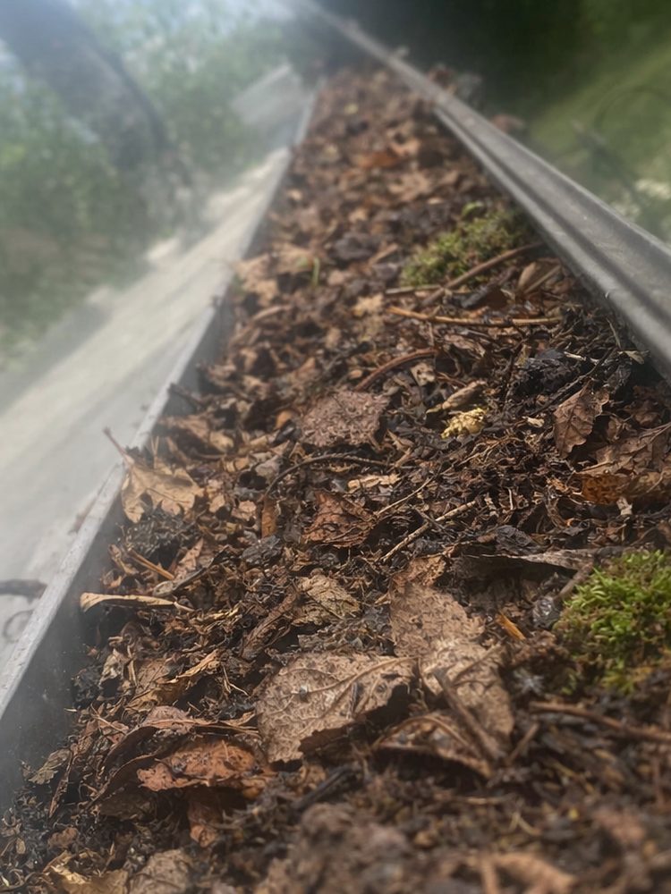 Clogged gutters before AllGood cleaning