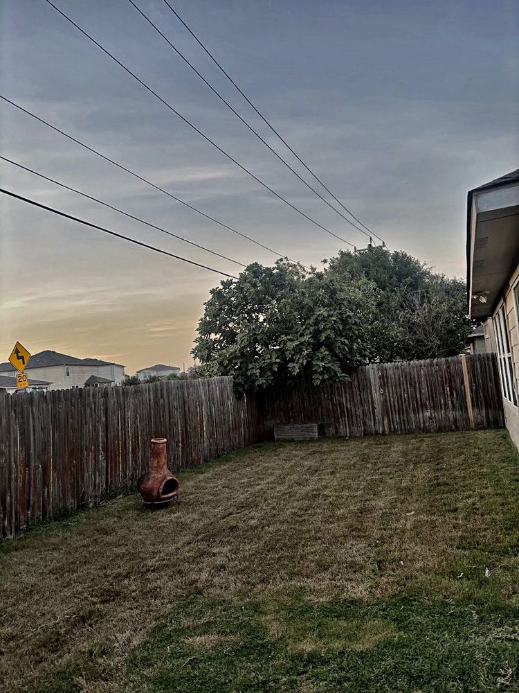 Lawn after AllGood same-day cut