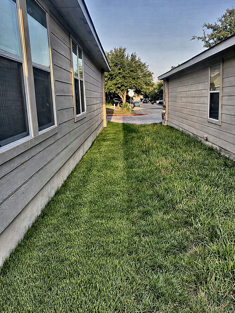 Yard after AllGood cleanup