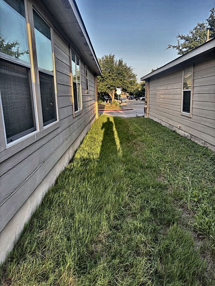 Yard before AllGood cleanup