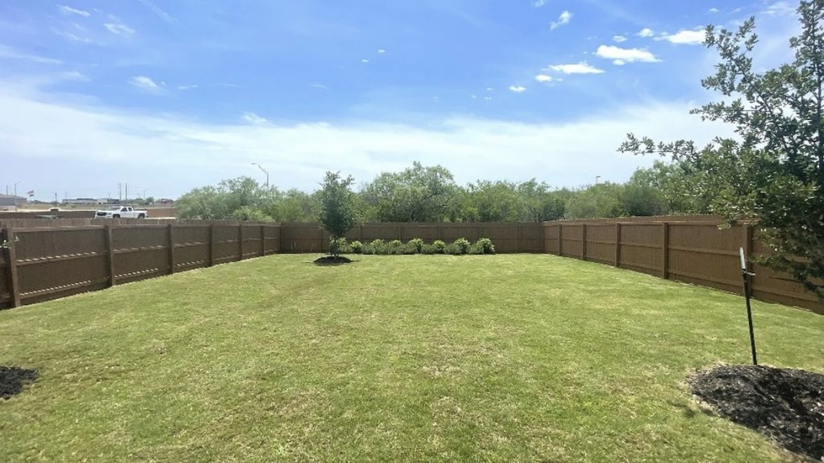 Freshly mowed and maintained backyard lawn in San Antonio